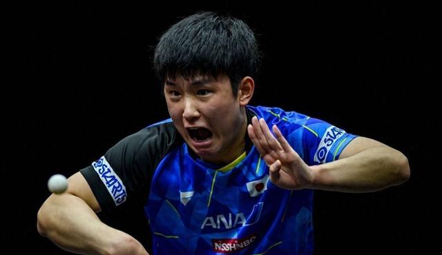 奥地利队逆转英格兰队,张本智和状态火热 奥地利队逆转英格兰队,张本智和状态火热