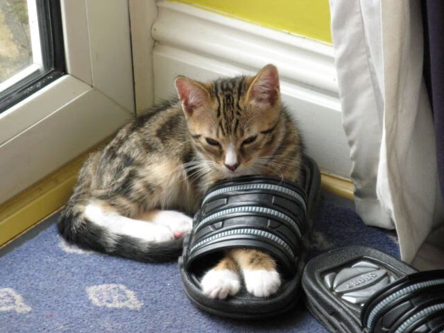 审判之眼，利拉德的孤注一掷，在NBA季后赛之夜的铁证如山