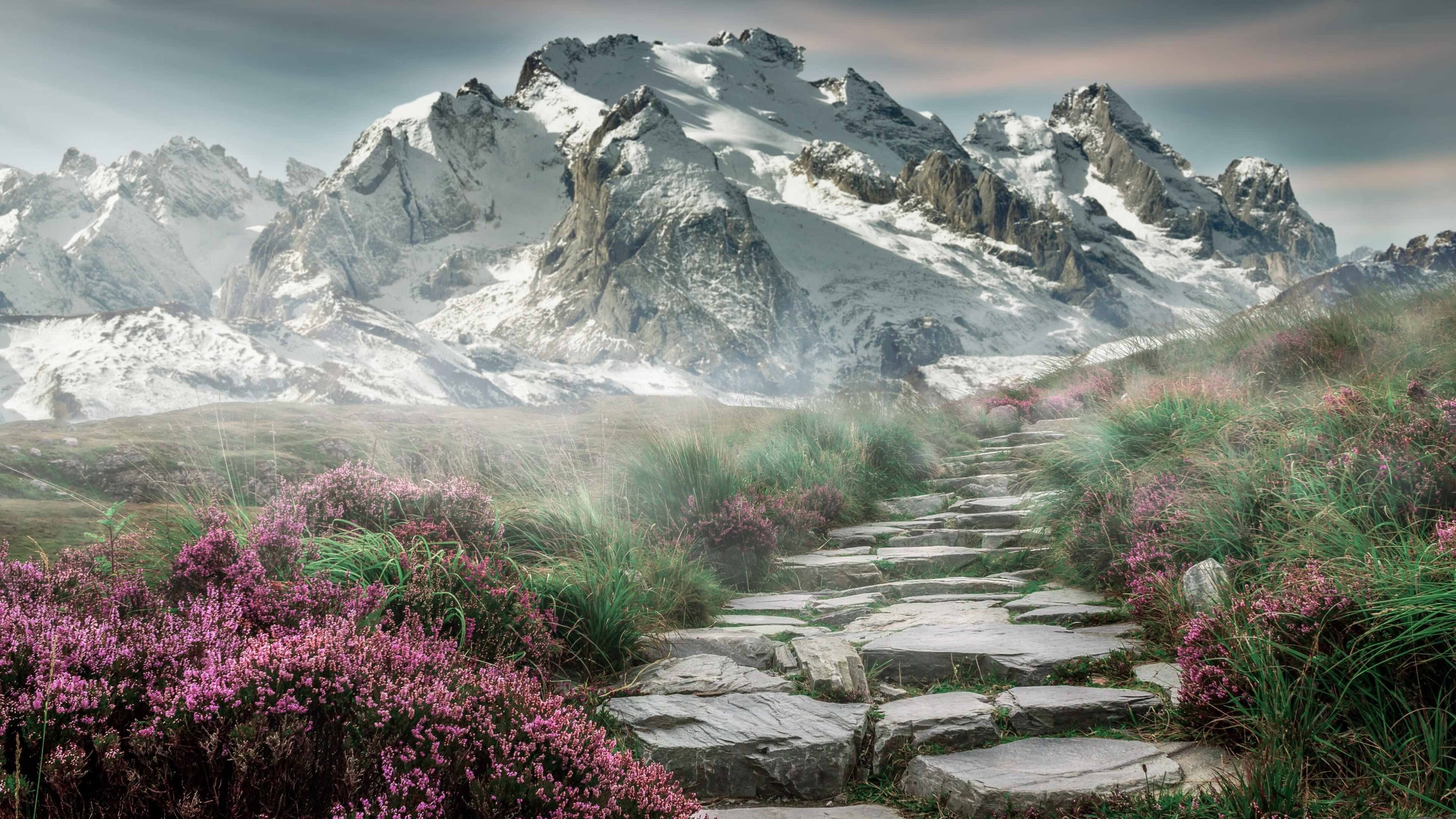 个人的救赎与国家的碾压,当基米希刺穿寂静,澳大利亚掀起海啸