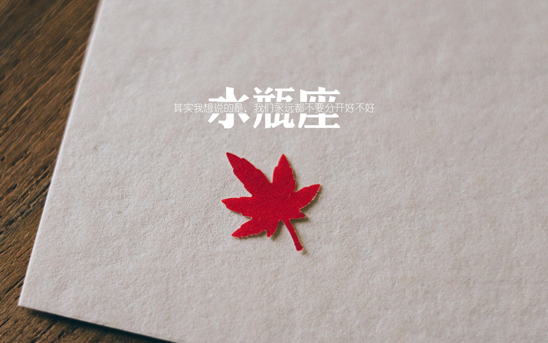 跨界破壁,当福克斯的节奏被东方盾阵瓦解,篮球哲学在此分野