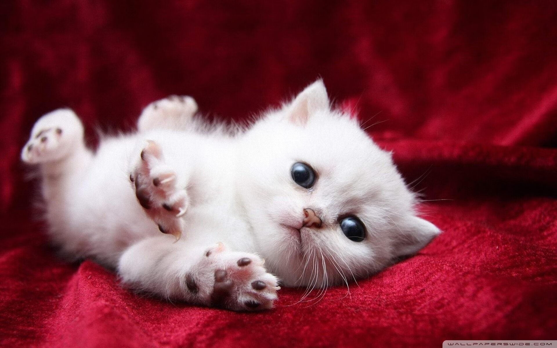 开云体育登录-改写命运，马刺对阵上海队，詹姆斯关键回合不手软