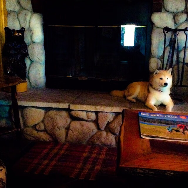 开云体育中国-双城记，诺坎普的冰与火—当西甲德比遇见加拿大一波流击沉尤文