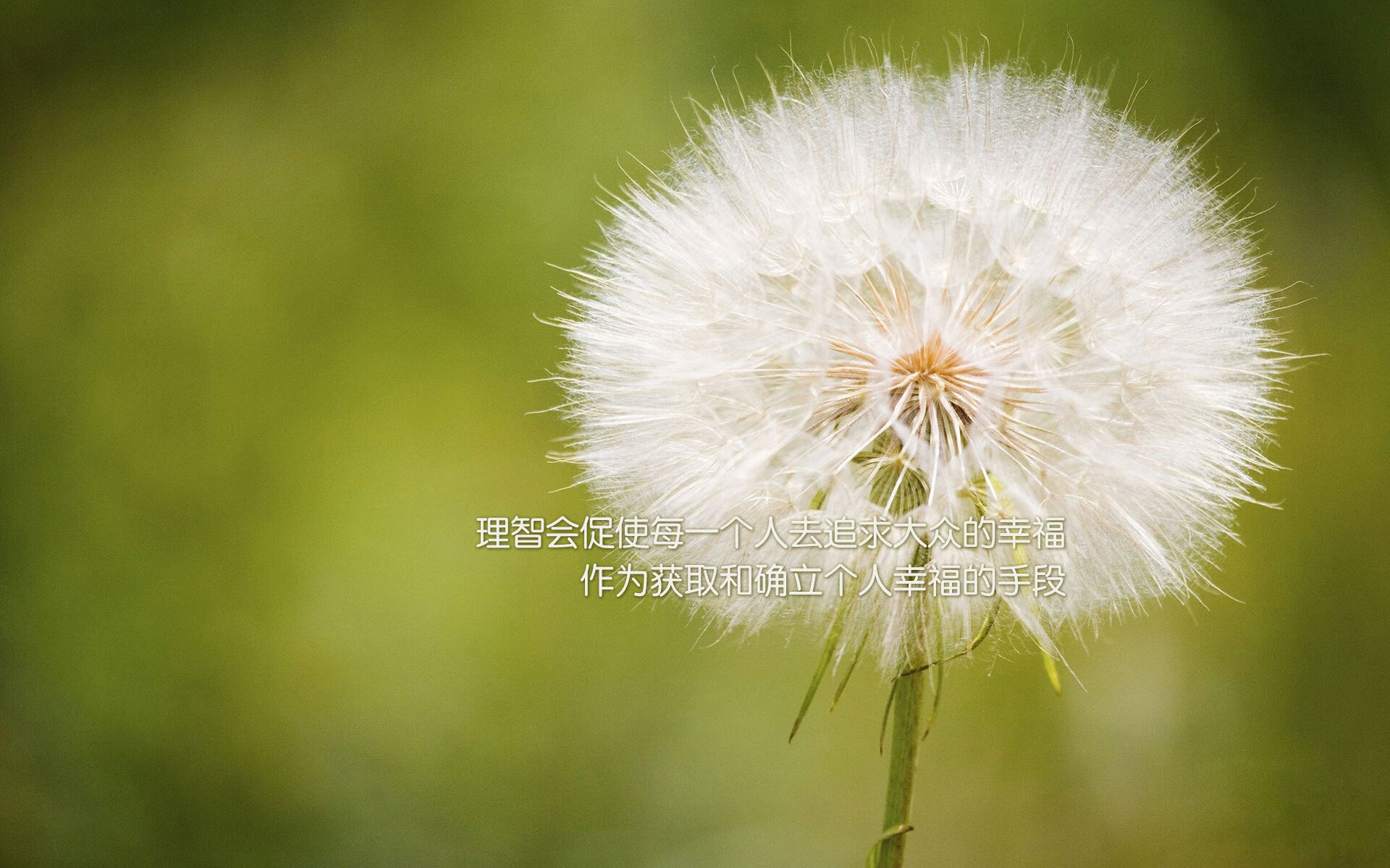 守护神降临北岸花园,当篮球场上的库尔图瓦统治东决关键之夜