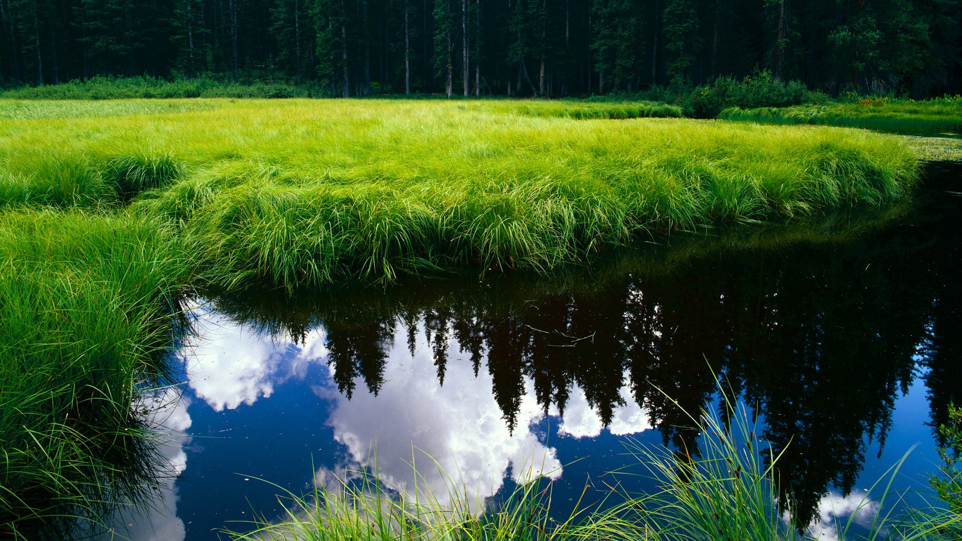 世界排名争夺战焦点战,伊拉克生死战取胜拉齐奥式强敌