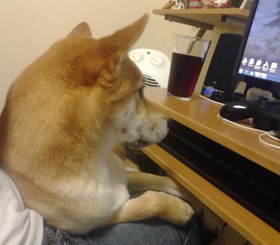 西甲国家德比之夜，当全世界的目光，只为贝林厄姆而亮