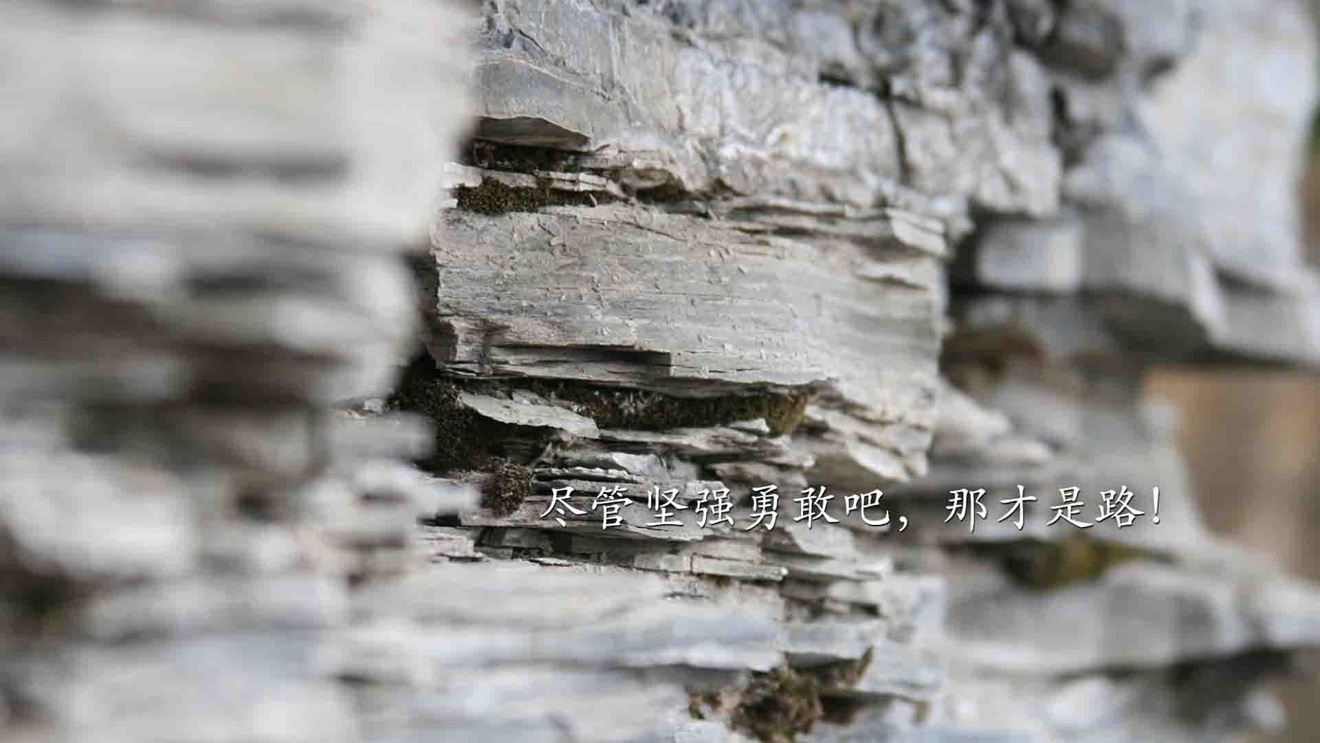 寂静革命，总决赛之夜，贝恩如何以不流血的方式完成王权更迭