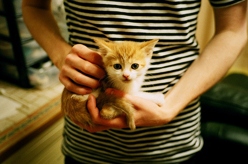 金玟哉转会风暴，拜仁猝死式截胡如何同时改变三家豪门的命运