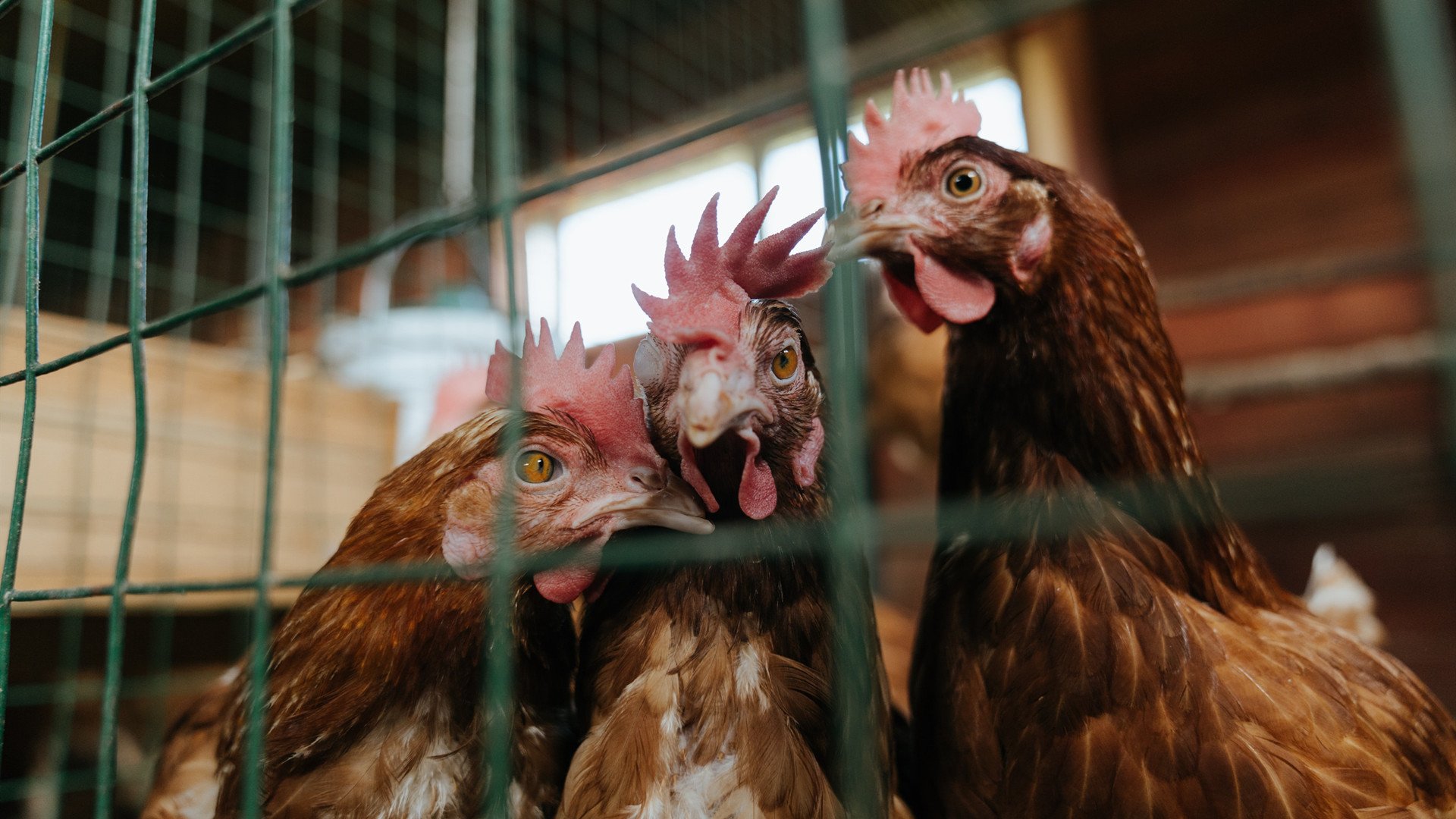 开云体育app-三分雨浇不灭沙漠风暴，拉梅洛·鲍尔化身孤胆英雄，导演史诗级翻盘