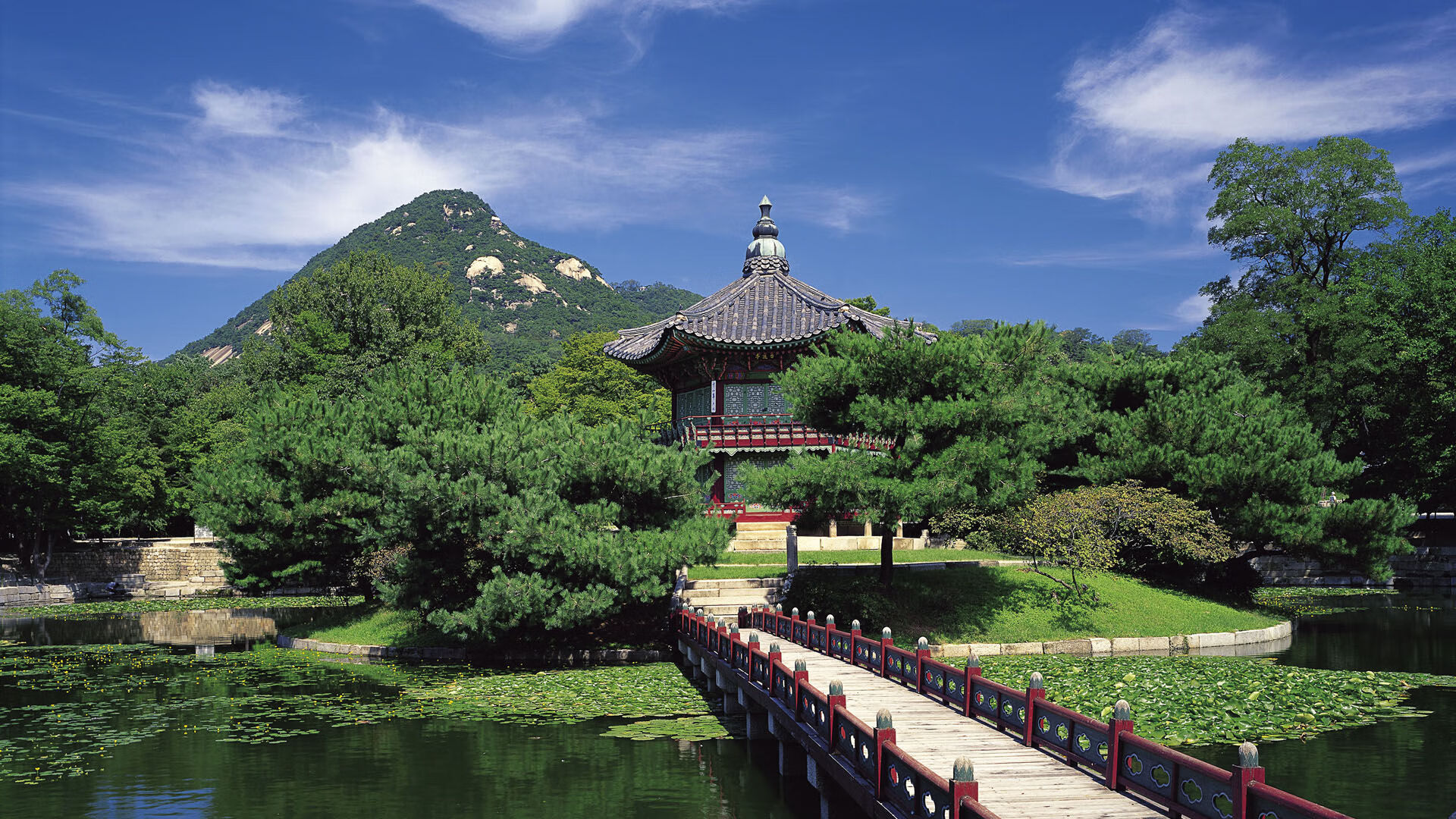 开云体育中国-黄蜂刺痛鹈鹕，德文·布克，那位在末节精准解剖比赛的持刀者