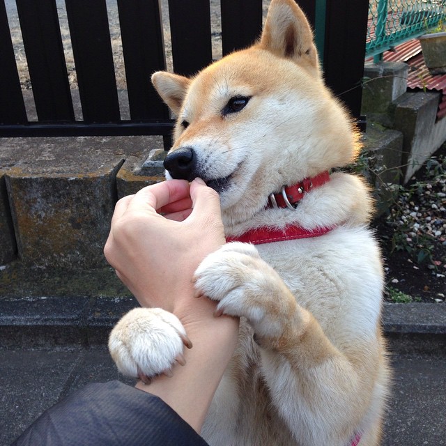 开云体育在线-钢铁意志击穿铁血防线，德国足球的复兴在欧洲之巅绽放