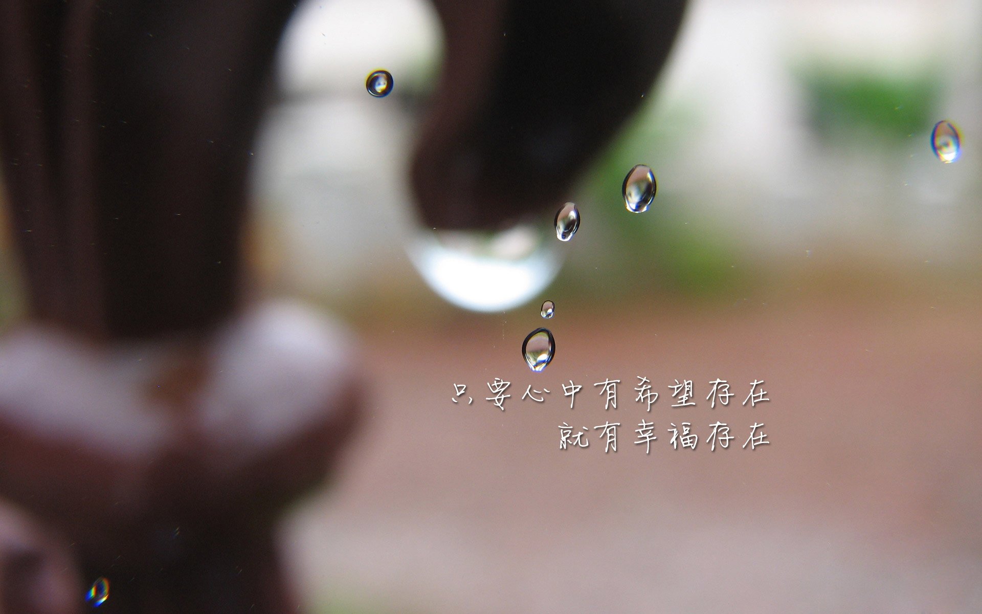 以下是为您构思的文章