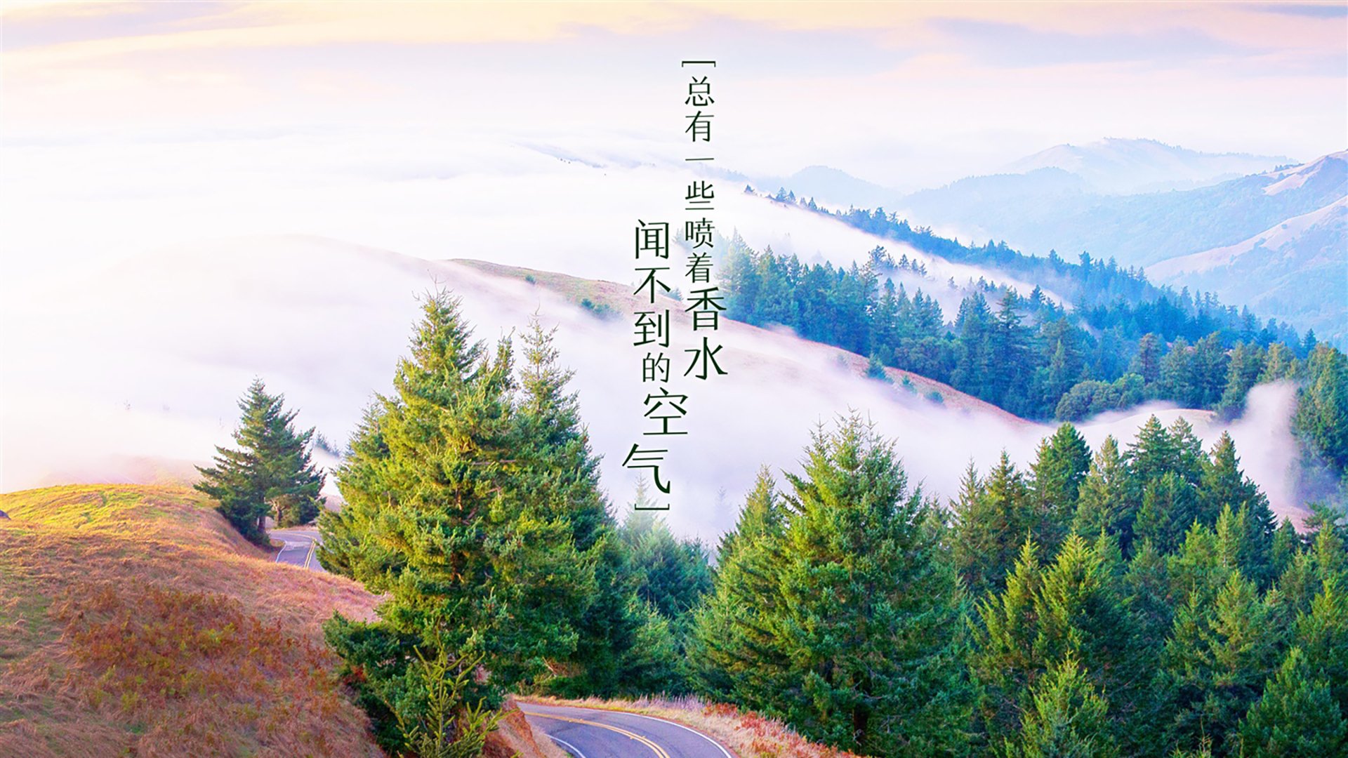 下面，我将从创作者的思维出发，先为你提炼一个富有冲击力的标题，再围绕这个标题，撰写一篇有故事感、有细节、有情感深度和唯一性的文章